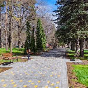 Территория в санатории им.И.М.Сеченова в городе Ессентуки - фотография