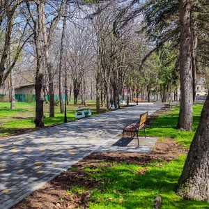 Территория в санатории им.И.М.Сеченова в городе Ессентуки - фотография